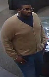 fraud suspect